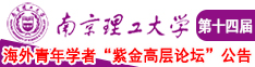 大鸡巴操美女大鸡巴出南京理工大学第十四届海外青年学者紫金论坛诚邀海内外英才！